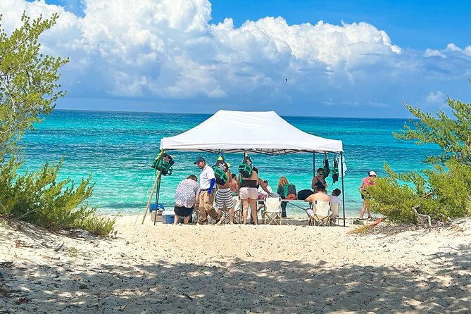 Safari Tour – Paradisiacal Excursion to Bahía De Las Águilas - Tour Highlights and Itinerary