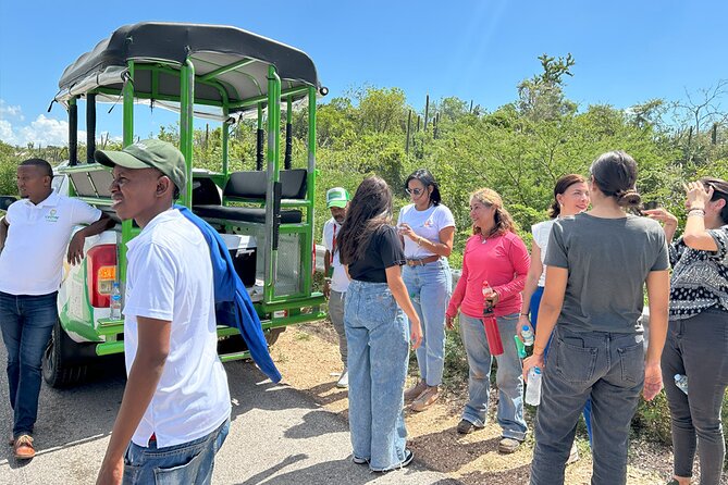 Safari Tour – Paradisiacal Excursion to Bahía De Las Águilas - Pricing and Booking Information