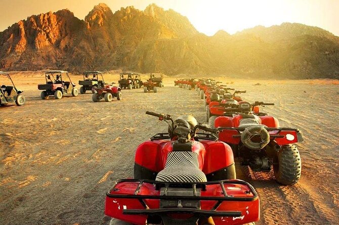 Safari Vip by Quad Bike ( 3 Hour ) - Hurghada - Reviews and Feedback