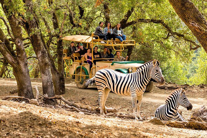 Safari West Sonoma Adventure Tour - A Deep Dive into the Safari West Sonoma Experience