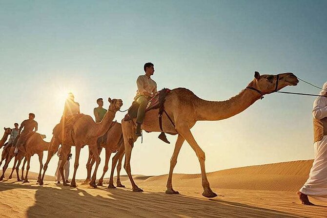 Safari With BBQ Dinner and Quad Biking - Customer Reviews
