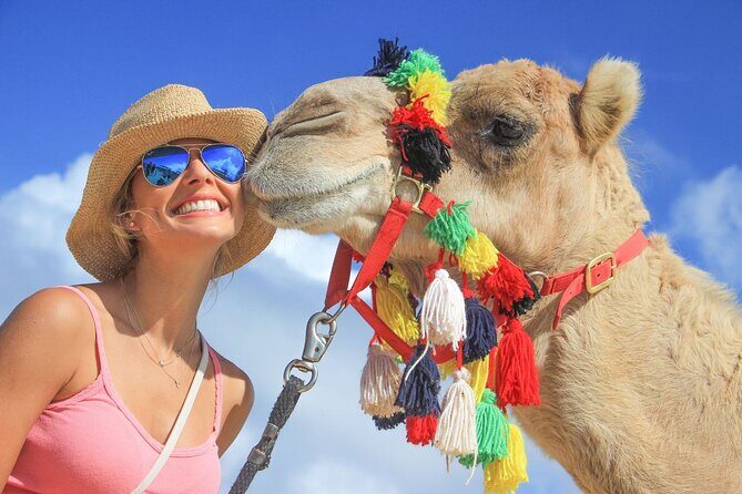 Safari with Camel Caravan to Explore Bajas Nature, Culture and Cuisine - Good To Know