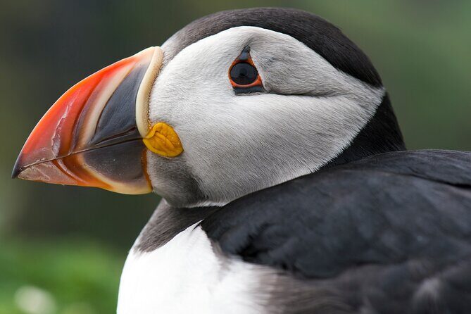 Safe Ride for Travellers to Edmonton - Exploring the Details of the Safe Ride Experience