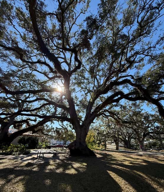 Safety Harbor: Food and Drink Tour with a Local Guide - Explore the Charm of Safety Harbor on a Food Tour