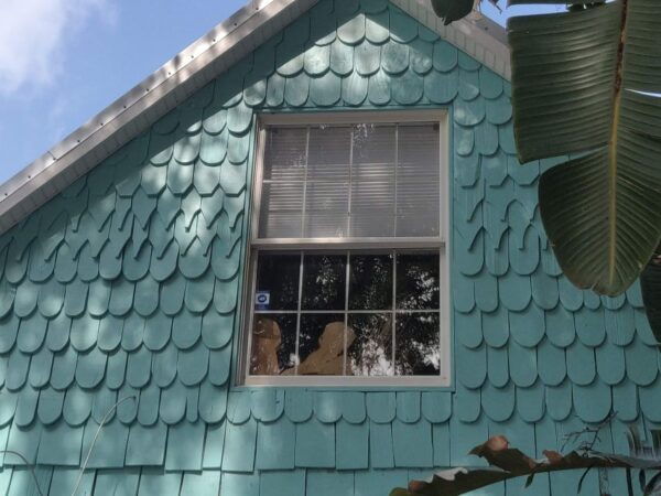 Safety Harbor: Haunted History Guided Walking Tour - Frequently Asked Questions