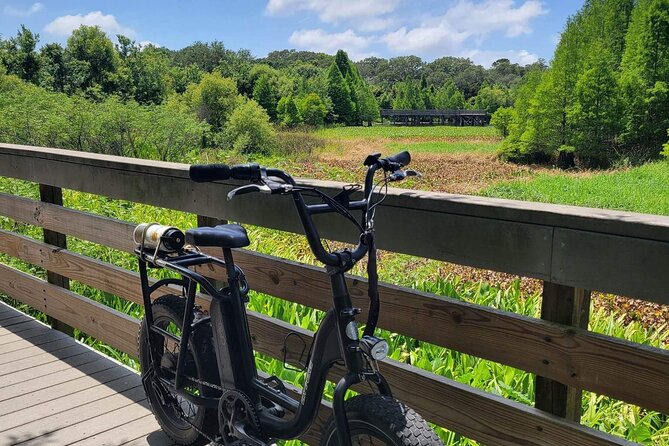 Safety Harbor Hidden Trails and History Tour - Safety Measures