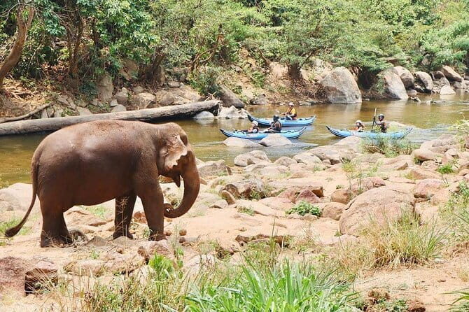 Safety whitewater rafting in Chiangmai by Khampan Rafting - Who Should Book This?