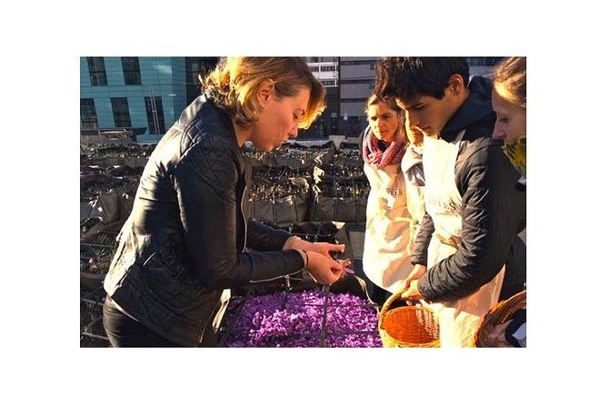 Saffron on the Roofs of Paris - History of Saffron in Paris