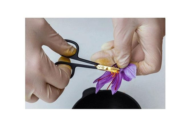 Saffron on the Roofs of Paris - Saffrons Culinary Uses in Parisian Cuisine