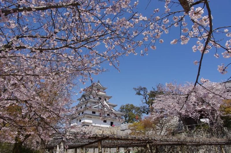 Saga: Karatsu Castle Ticket - A coastal castle with a memorable silhouette