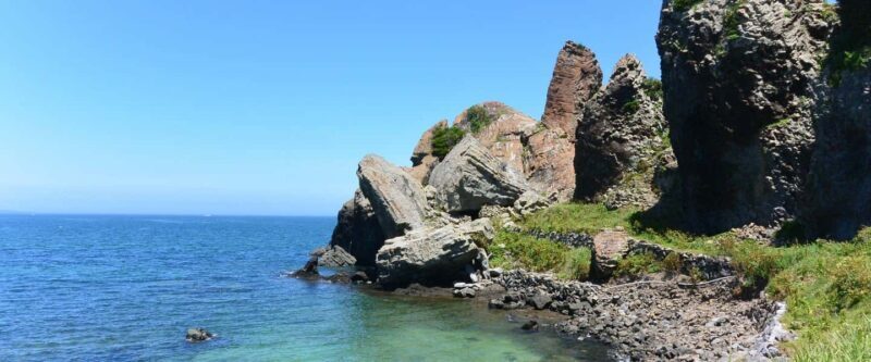 Saga: Karatsu Kunchi, Balloon, & Fox Wedding Festivals Tour - Authenticity and Personal Insights