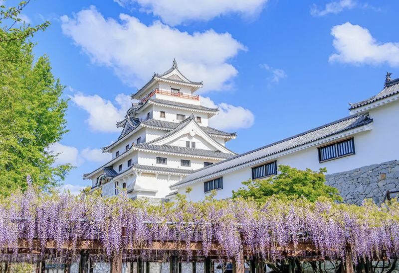 Saga Private Car Day Trip/Customized Itinerary: Yutoku Inari Shrine | Takeo City Library | Oouo Shrine | Karatsu Castle | Arita Ware (Porcelain) | Ureshino Onsen - What the driver service is like