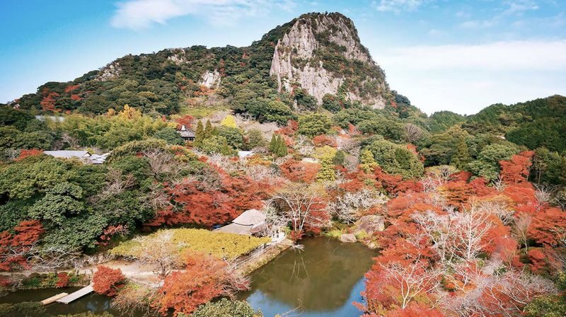 Saga Private Car Day Trip/Customized Itinerary: Yutoku Inari Shrine | Takeo City Library | Oouo Shrine | Karatsu Castle | Arita Ware (Porcelain) | Ureshino Onsen - Who gets the best value
