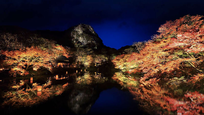 Saga Private Car Day Trip/Customized Itinerary: Yutoku Inari Shrine | Takeo City Library | Oouo Shrine | Karatsu Castle | Arita Ware (Porcelain) | Ureshino Onsen - Should you book this Saga day trip?