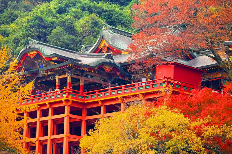 Saga: Yutoku Inari Shrine & Takeo Onsen & Ouo Shrine Strawberry Picking Day Trip (Lunch Included) - Ouo Shrine and the tide-dependent torii