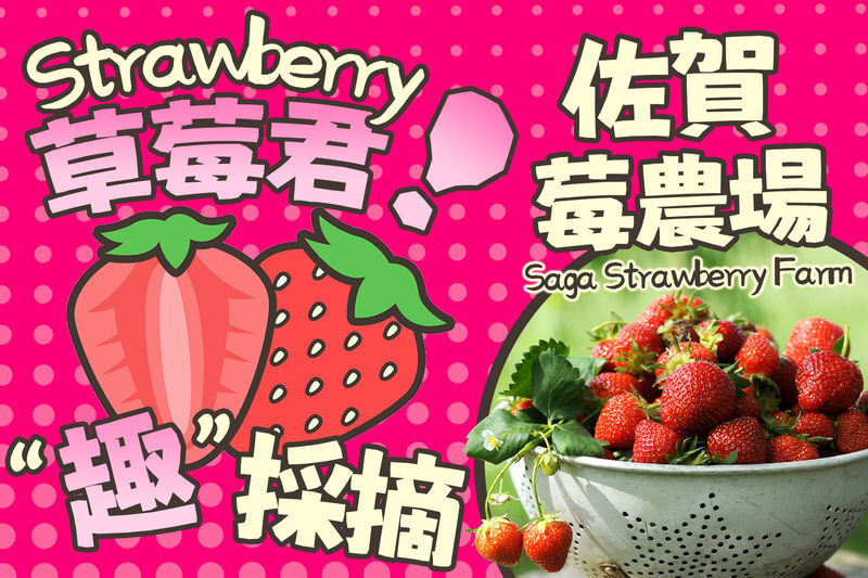Saga: Yutoku Inari Shrine & Takeo Onsen & Ouo Shrine Strawberry Picking Day Trip (Lunch Included) - Keeping the day comfortable