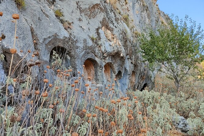 Sagalassos and Burdur Cultural Tour - Accessibility and Fitness Requirements