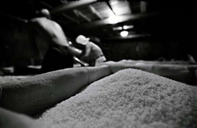 Sagamihara: Kubota Brewery Tour and Sake Tasting - The Sum Up