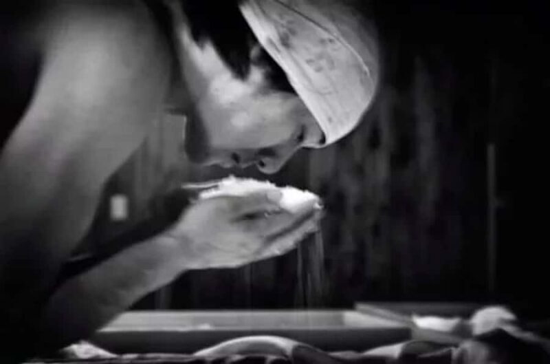 Sagamihara: Kubota Brewery Tour and Sake Tasting - What to Expect from the Kubota Brewery Tour