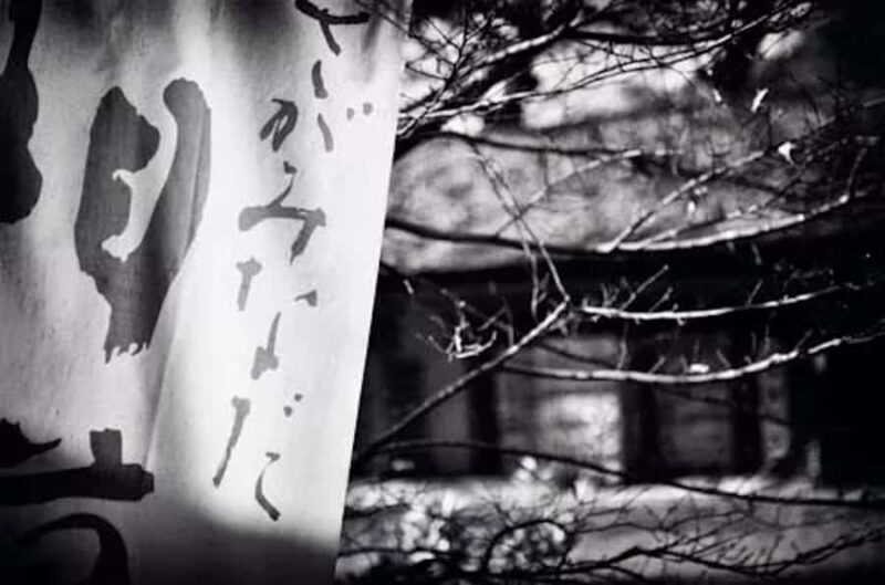 Sagamihara: Kubota Brewery Tour and Sake Tasting - Who Will Love This Tour?