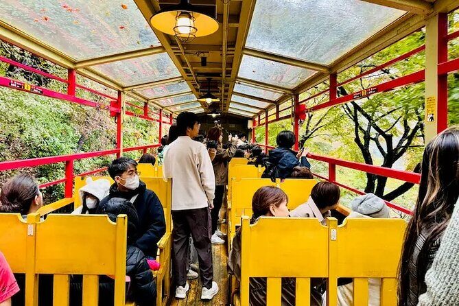 Sagano Romantic Train Ticket - Practical Aspects & Cost-Value Analysis