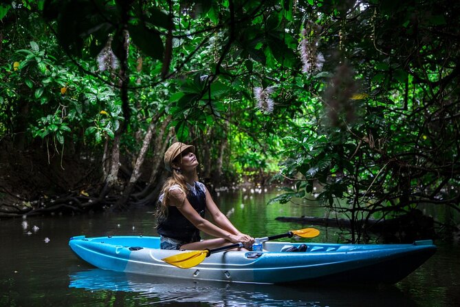 Sagaribana SUP / Canoe Tour Early in the Morning (Limited From June to August) - Booking and Confirmation