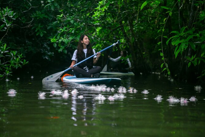 Sagaribana SUP / Canoe Tour Early in the Morning (Limited From June to August) - Important Information