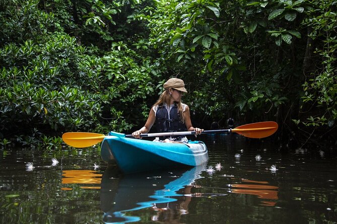 Sagaribana SUP / Canoe Tour Early in the Morning (Limited From June to August) - Cancellation Policy
