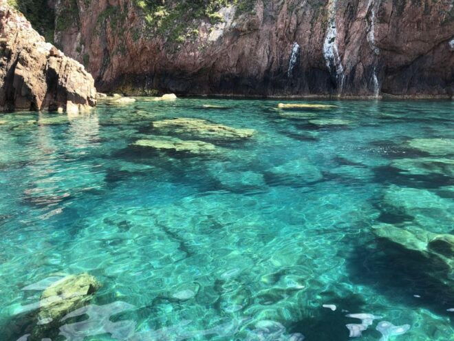 Sagone/Cargèse: Scandola Reserve & Girolata Boating Day Trip - The Sum Up