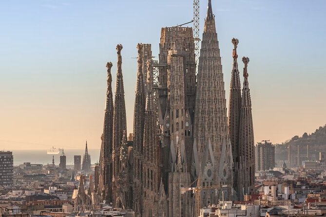 Sagrada Familia: Fast Track & Tower Access With Pick and Drop off - Reviews and Ratings