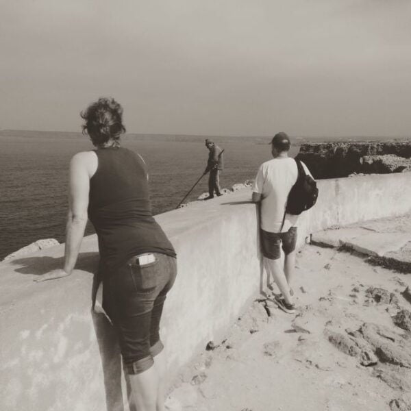 Sagres & Cape St. Vincent Half-Day Tour From Lagos - The Sum Up