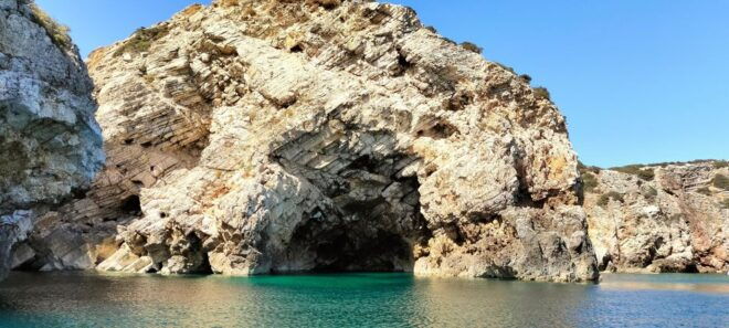 Sagres: Wildlife Tour Dolphins and Caves - Full Description