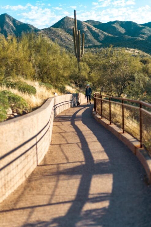 Saguaro National Park: Day Tour & Hike - Tour Itinerary