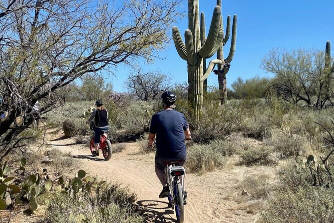 Saguaro National Park East E-Bike Tour - Important Safety Guidelines