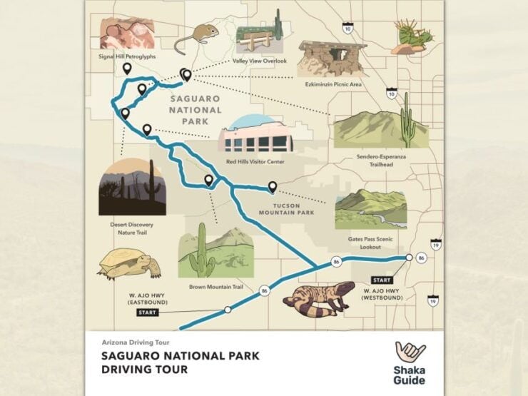 Saguaro National Park: Self-Guided GPS Audio Tour - Experience Highlights