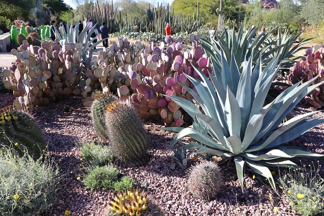 Saguaro NP and Mt. Lemmon Self Guided Driving Audio Tour Bundle - Tour App Features
