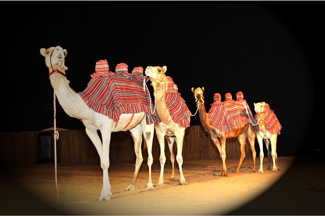 Sahara Arabian Desert Dinner Experience With Transport From Dubai - The Sum Up