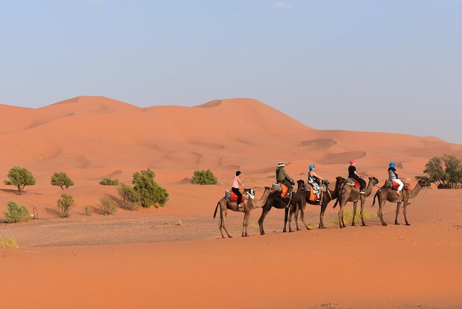 Sahara Camel Ride Overnight Excursion From Merzouga - Traveler Reviews and Photos