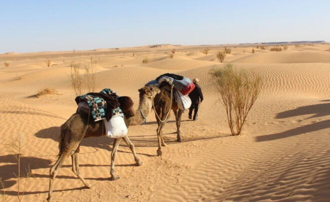 Sahara Desert: 2-Day Tour With Food and a Night in a Tent - Payment Flexibility