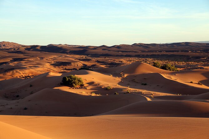 Sahara Desert and Dades Gorge Trip From Marrakesh - Inclusions and Exclusions