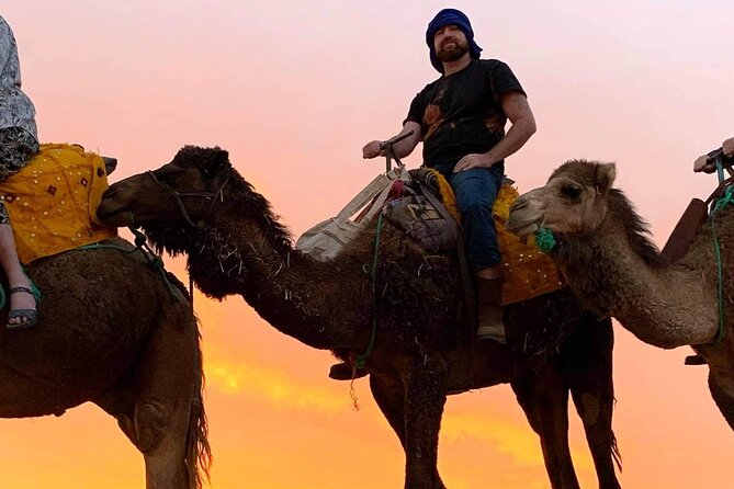 Sahara Desert Atlas Mountains Tour - 3 Days 2 Nights - Fez to Marrakech - The Sum Up