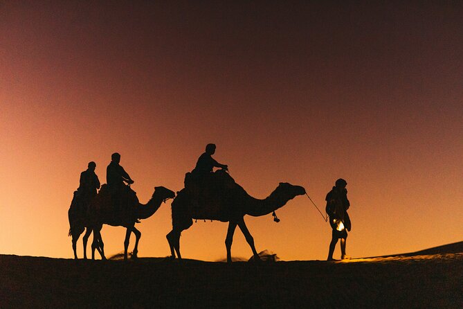 Sahara Desert Tour From Fes to Marrakech 3 Days - 2 Nights - Activities and Experiences