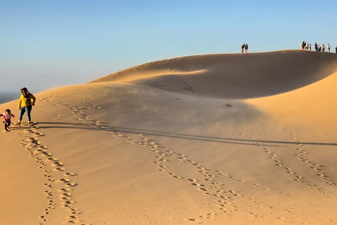 Sahara Dunes & Paradise Valley Day Trip From Agadir - Traveler Reviews and Ratings