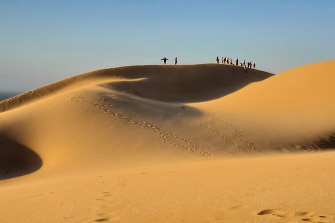 Sahara Dunes & Paradise Valley Day Trip From Agadir - Additional Reviews and Terms
