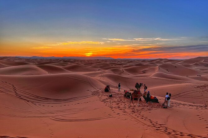 Sahara Odyssey: a 4-Day Escape From Marrakech to the Dunes - Customer Reviews and Ratings