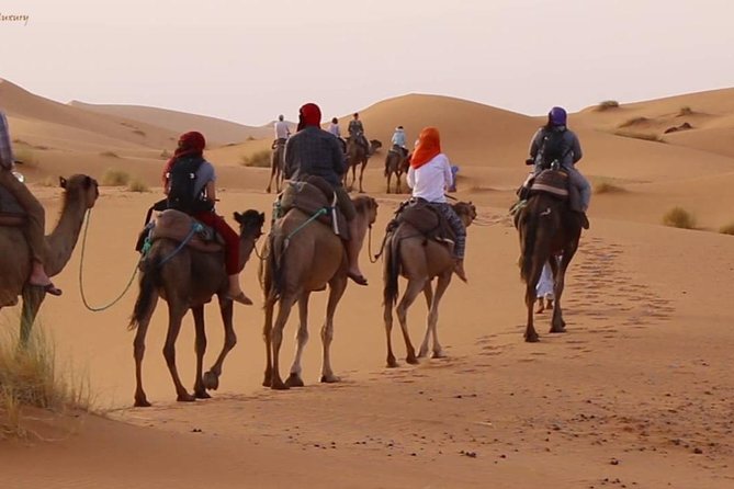 Sahara Tour in 3-Days From Marrakech to Merzouga With Camel Trek - Additional Tour Details