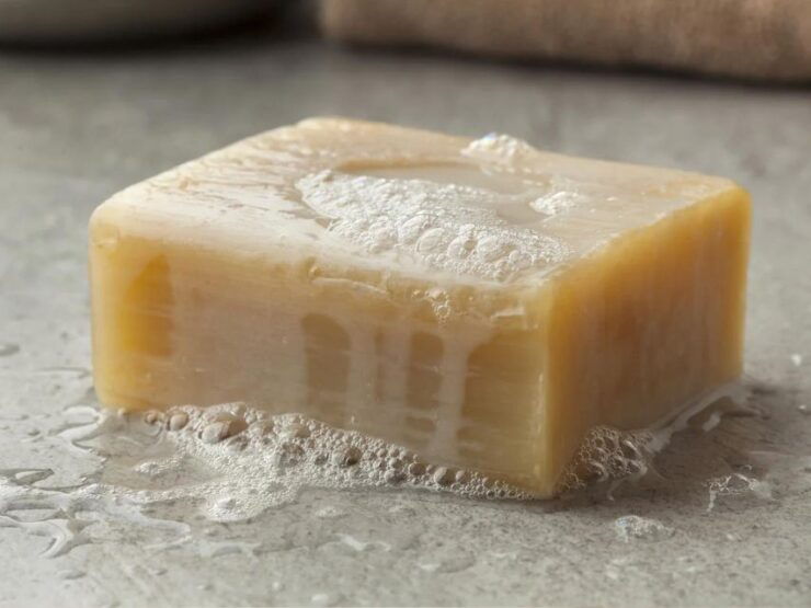 Sahl Hasheesh: Cleopatra Plus Spa and Massage - Language and Instruction