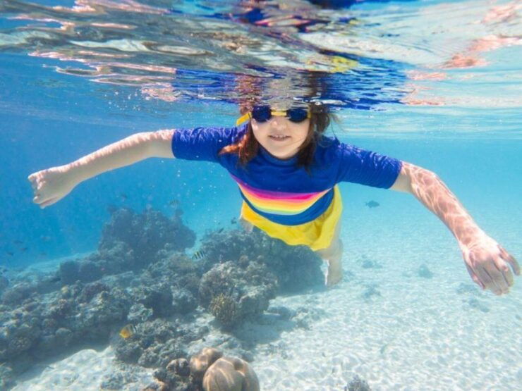 Sahl Hasheesh: Dolphin House Boat Tour With Private Transfer - Highlights of the Boat Tour