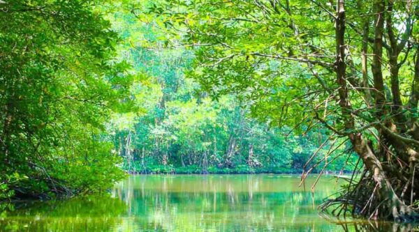 Sai Gon – Can Gio – Monkey Island 1 Day Tour - Contact and Support