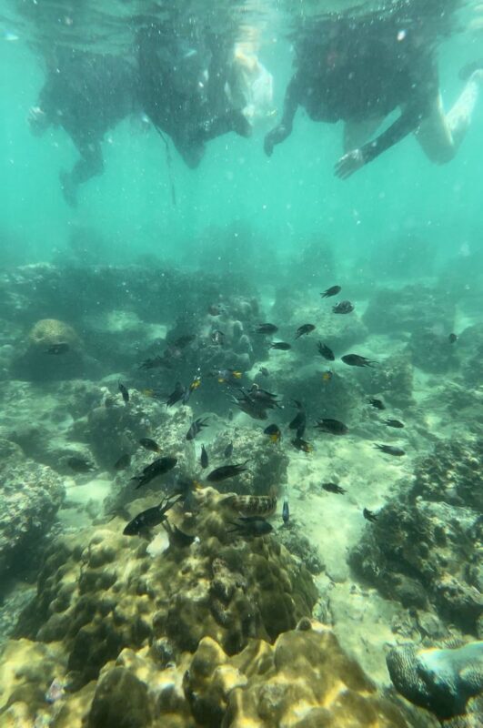 Sai Kung Green Egg Island Kayaking and Snorkeling Day Tour - The route from Siu Hang Hau to Green Egg Island